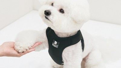 놓치면 후회! 올치뽀송베베패딩 득템 후기 (꿀팁 대방출) 👶💖